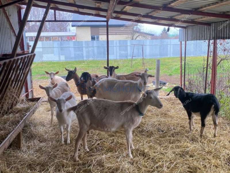 земельный участок под сельхоз назначение в Кстовском районе Нижегородской области