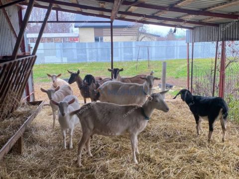 selo-bolshaya-elnya-kstovskiy-rayon фото