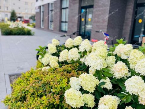 1-komnatnaya-ul-makovskogo-d-25 фото