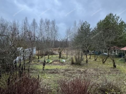 dom-bor-gorodskoy-okrug-bor фото