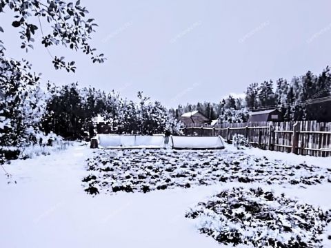 dom-derevnya-rylovo-balahninskiy-municipalnyy-okrug фото