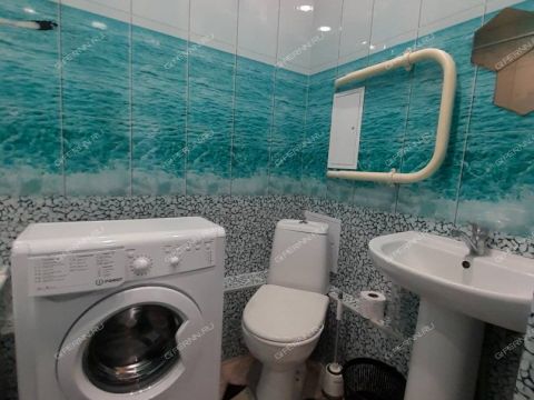 1-komnatnaya-ul-nizhne-pecherskaya-d-15 фото