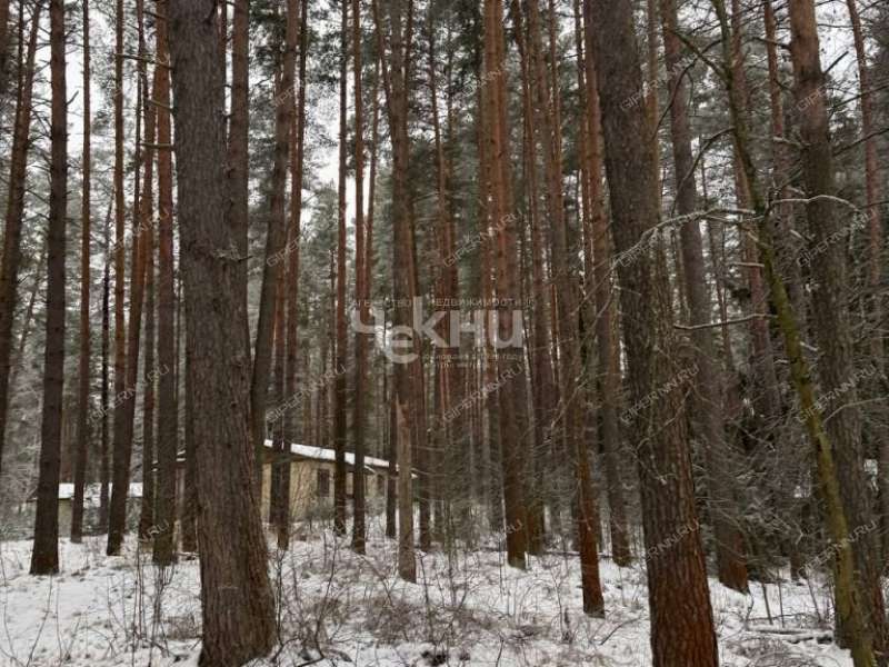 земельный участок 54 сотки деревня Линдо-Усад