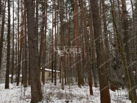 derevnya-lindo-usad-gorodskoy-okrug-bor фото