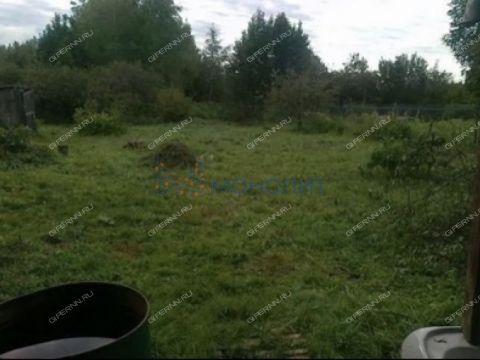 dom-derevnya-zhestelevo-pavlovskiy-municipalnyy-okrug фото