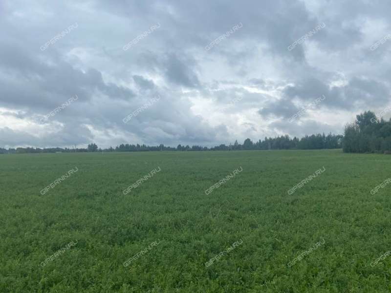 земельный участок под сельхоз назначение в Богородском районе Нижегородской области