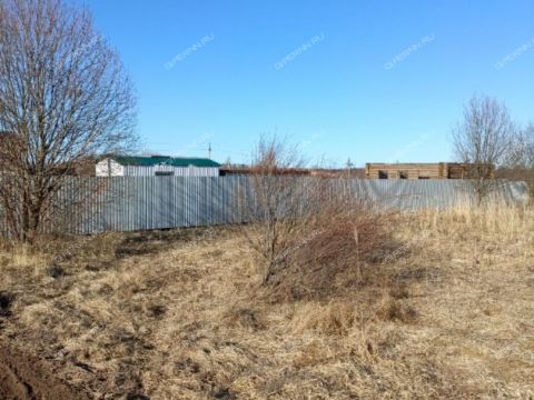 selo-kamenki-bogorodskiy-municipalnyy-okrug фото