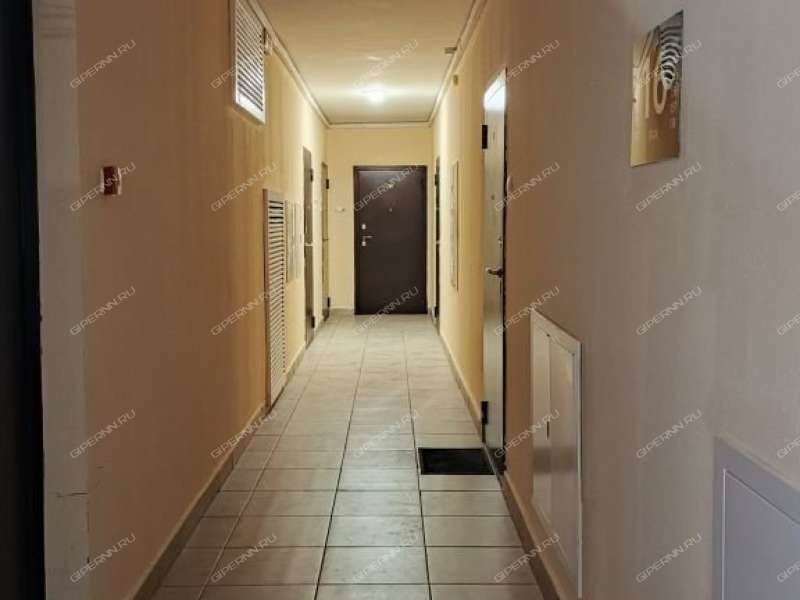 однокомнатная квартира на Русская ул дом 16 Анкудиновка