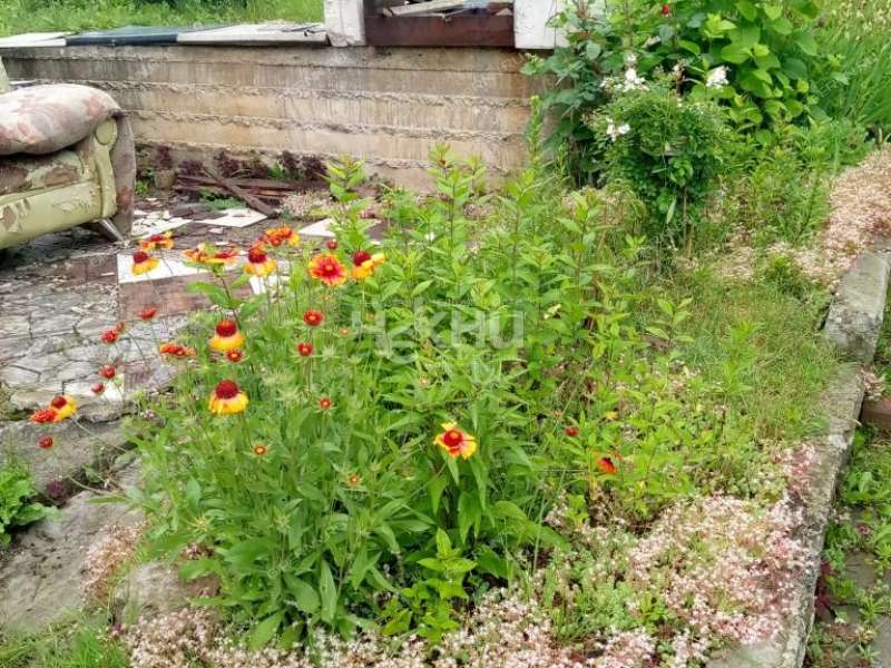 земельный участок 13 соток Полярная улица