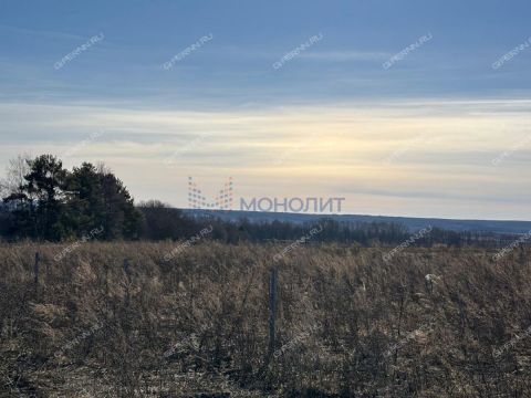 selo-ostankino-ostankinskiy-selsovet-gorodskoy-okrug-bor фото