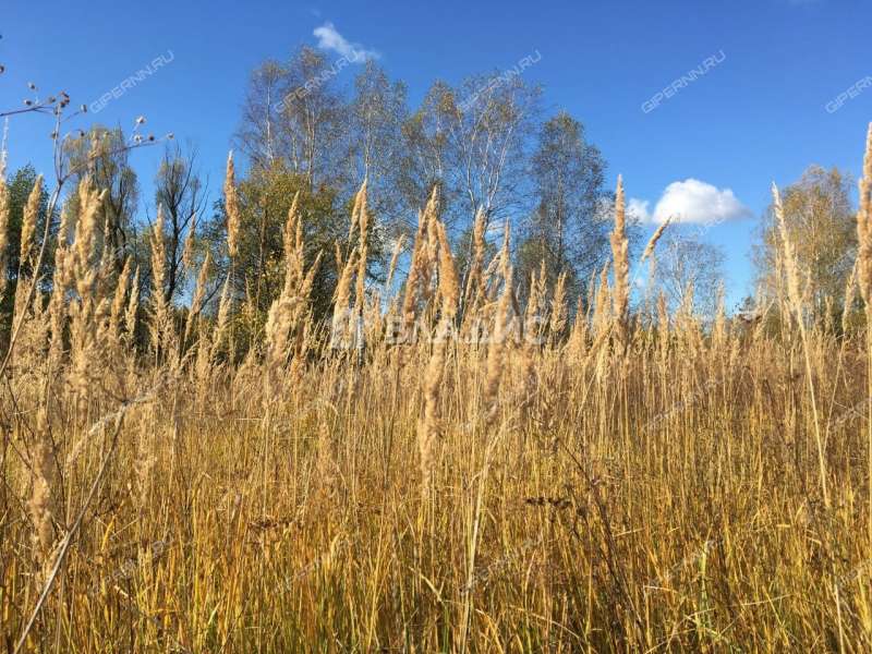 земельный участок 12 соток 2-я Луговая улица деревня Инютино