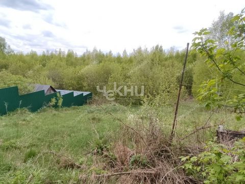dom-derevnya-sungurovo-gorodskoy-okrug-bor фото