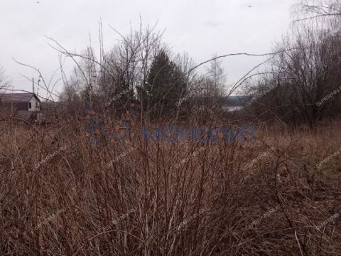 derevnya-zolotovo-gorodskoy-okrug-bor фото
