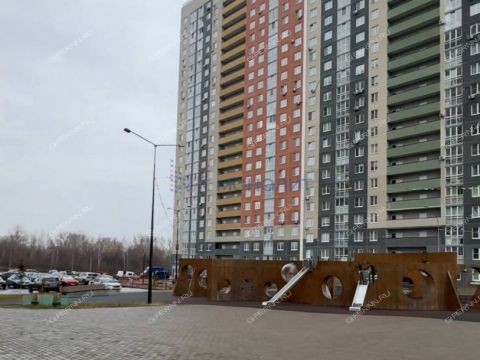 1-komnatnaya-derevnya-ankudinovka-kstovskiy-rayon фото