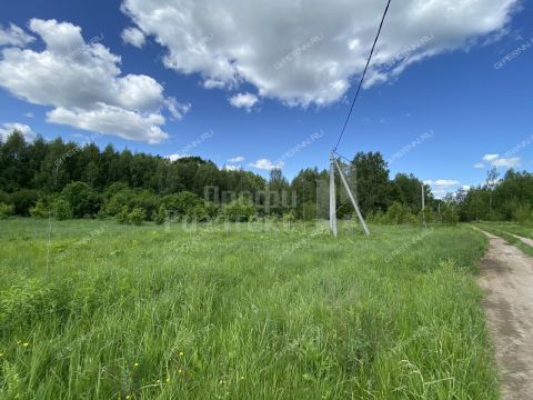 derevnya-lipovki-balahninskiy-municipalnyy-okrug фото