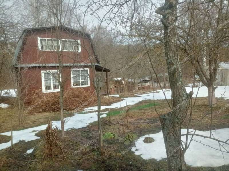 дача на СНТ Дружба