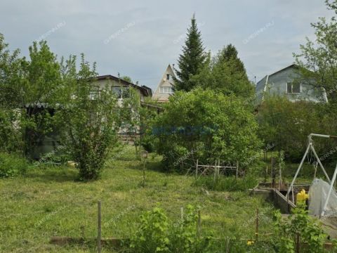 dacha-derevnya-gornyy-borok-kstovskiy-rayon фото