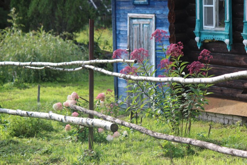 Фото: Ксения Ражева / gipernn.ru