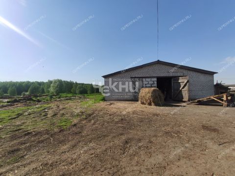derevnya-mednikovo-gorodskoy-okrug-chkalovsk фото