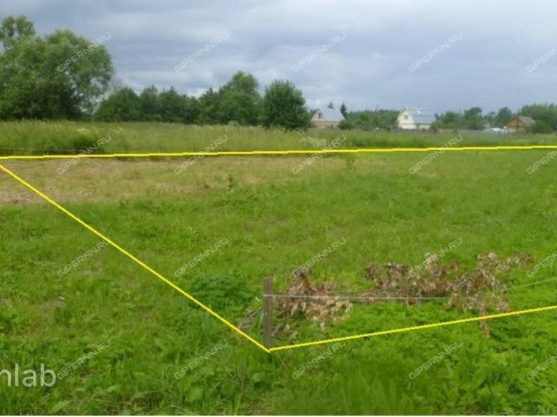 земельный участок 12 соток Березовая улица село Шелокша