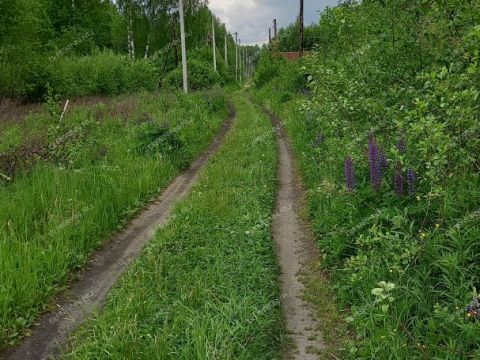 snt-yasnaya-polyana-dalnekonstantinovskiy-rayon фото