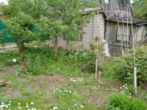 dacha-gorod-kstovo-kstovskiy-rayon фото
