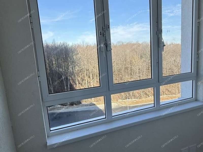 двухкомнатная квартира на улице Академика Чазова дом 3