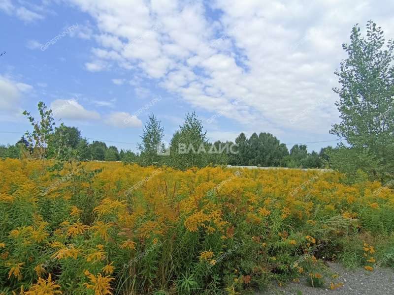 земельный участок 13 соток деревня Княжёво