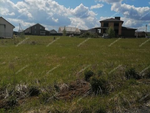 selo-efimevo-bogorodskiy-municipalnyy-okrug фото