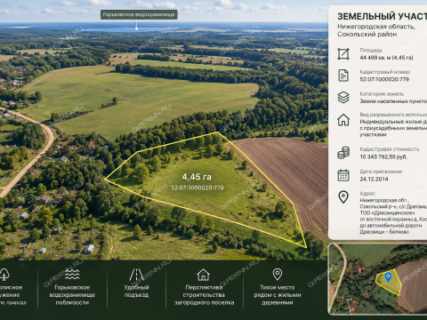 derevnya-dresvishhi-sokolskiy-gorodskoy-okrug фото