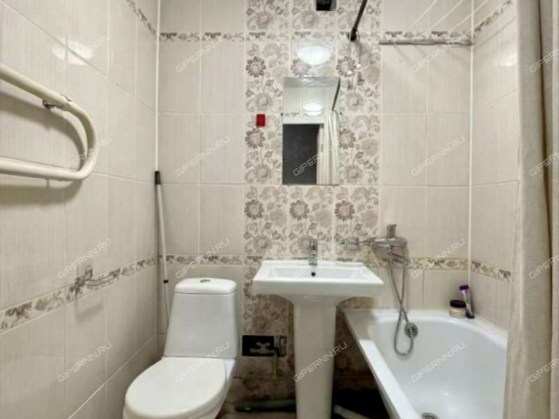 однокомнатная квартира на улице Июльских Дней дом 3 к1