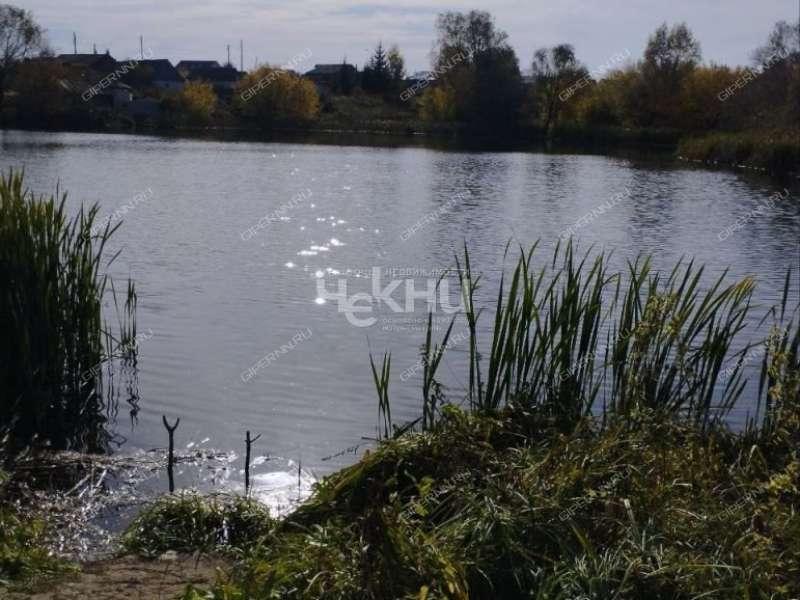 дом на Центральной улице село Григорово