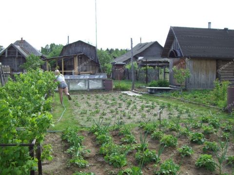 deyanovo-semenovskiy-gorodskoy-okrug фото