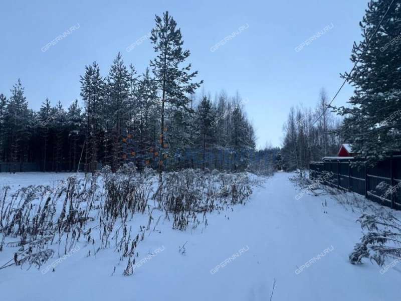 земельный участок под сельхоз назначение в Городецком районе Нижегородской области