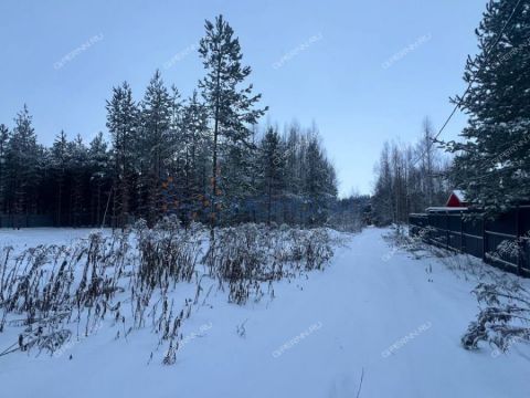 derevnya-malyy-suhodol-gorodeckiy-rayon фото