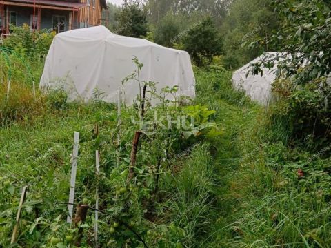 derevnya-krutec-gorodskoy-okrug-bor фото