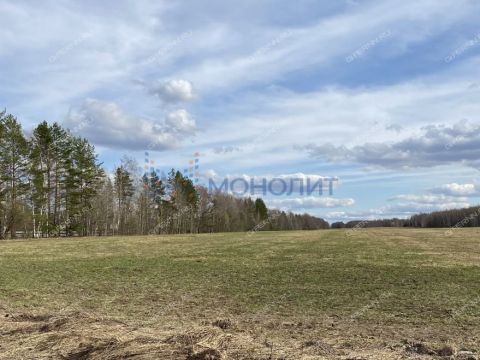 selo-kamenki-bogorodskiy-municipalnyy-okrug фото