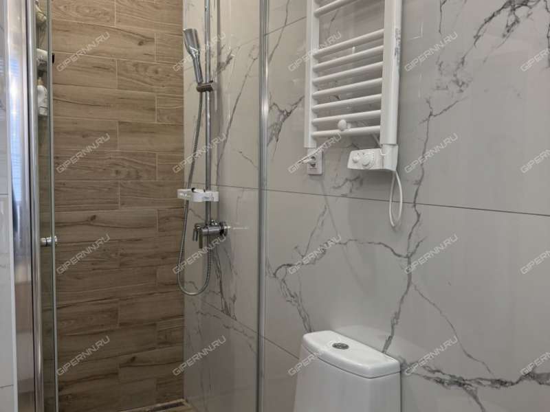 дом в деревне Новая