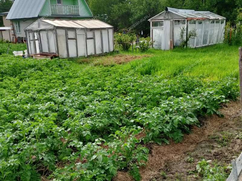 дом на  Первомайский