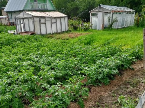 dom-pervomayskiy-balahninskiy-municipalnyy-okrug фото