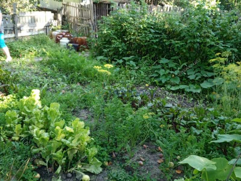 однокомнатная квартира на улице Академика Павлова дом 31