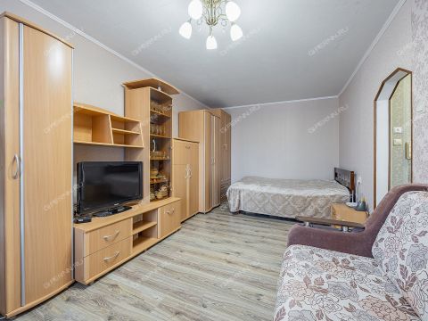 1-komnatnaya-ul-brinskogo-d-1 фото