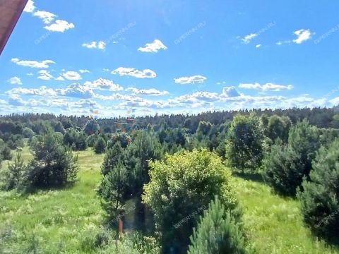 dom-selo-pustyn-gorodskoy-okrug-arzamas фото