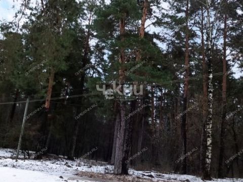dom-poselok-strigino-ul-derzhavina-d-41 фото