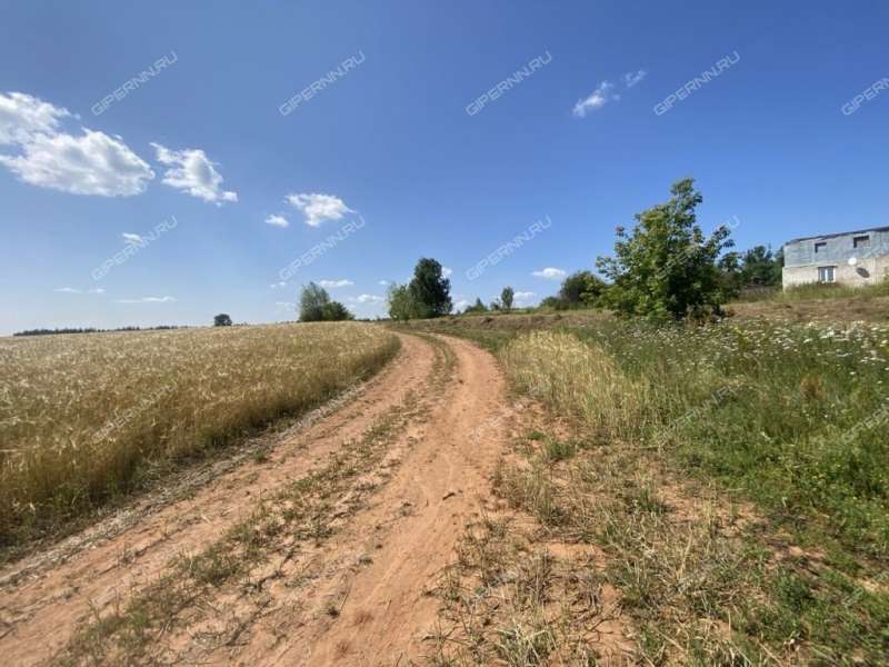 земельный участок 16 соток Зеленая улица село Румянцево