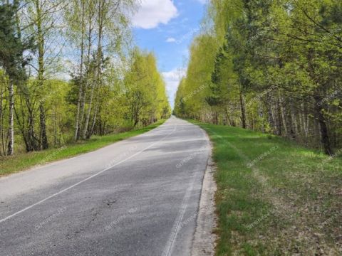 dom-selo-kamenka-vorotynskiy-gorodskoy-okrug фото
