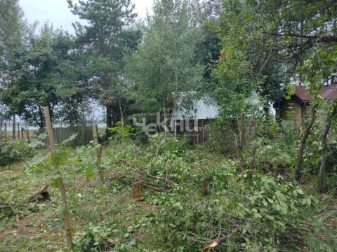 dacha-gorod-gorodec-gorodeckiy-rayon фото