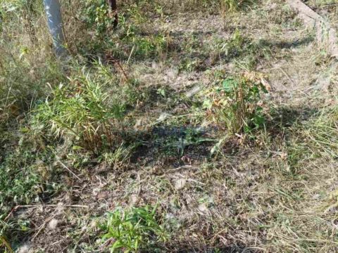 dom-selo-simbiley-dalnekonstantinovskiy-rayon фото