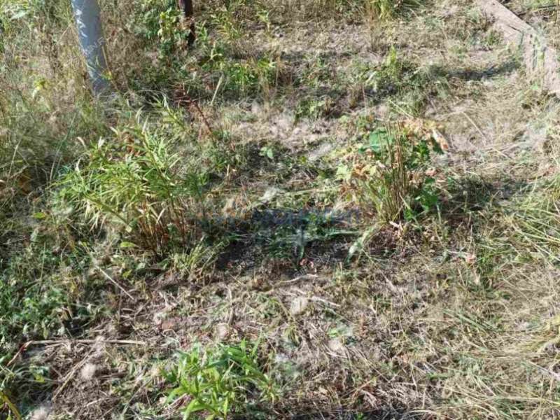 дом на - село Симбилей