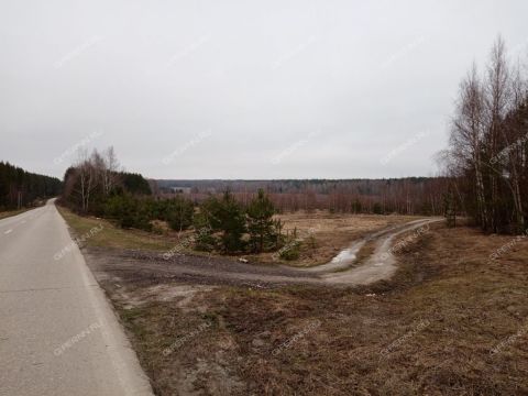 derevnya-nepecino-bogorodskiy-municipalnyy-okrug фото